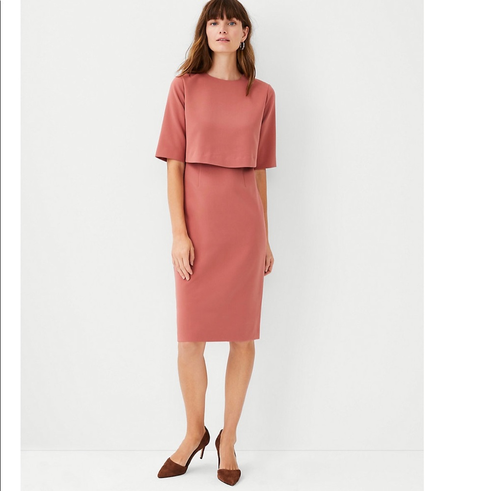 Ann Taylor Petite Overlay Elbow Sleeve Dress - New With Tag - 4P 4 Petite